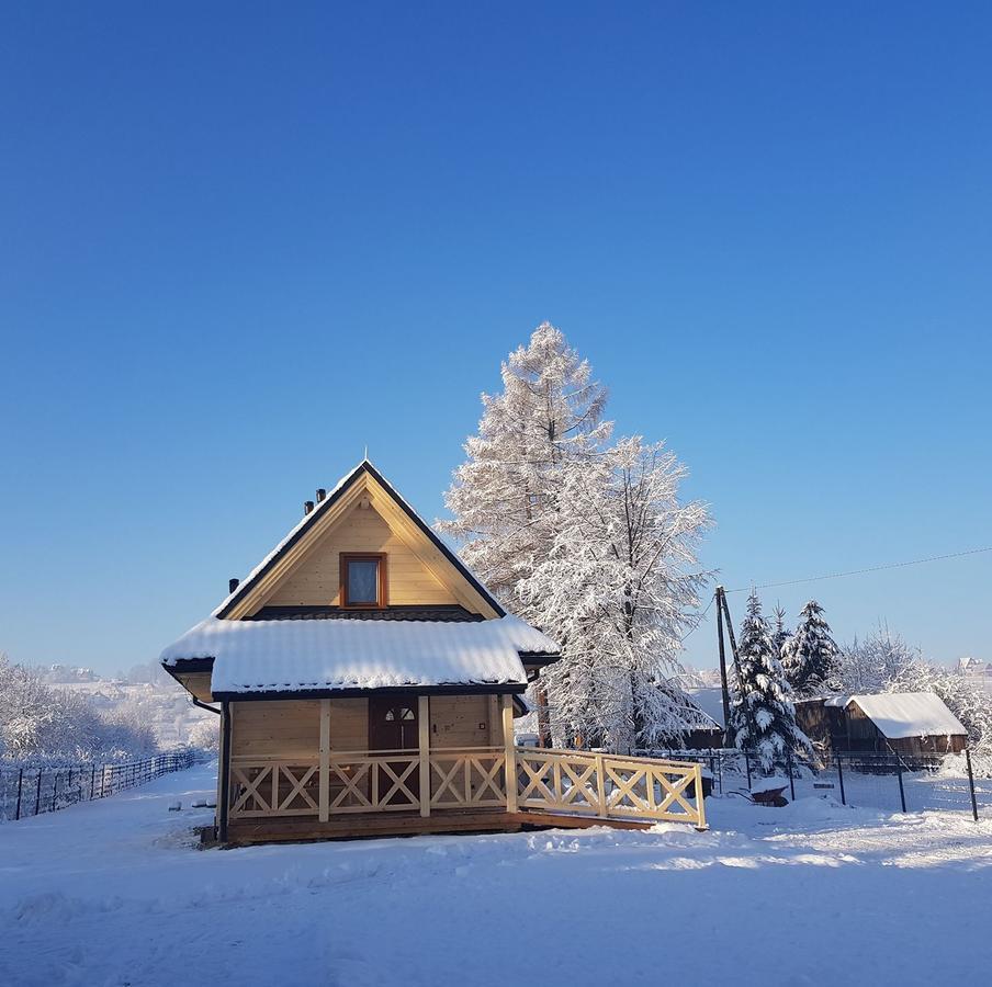 Eko Domki Mamastra Szaflary Buitenkant foto